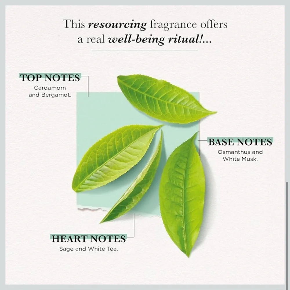 Solinotes white tea
